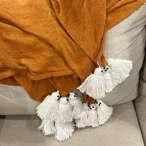Full Moon Home/HomeGoods viral sold out rust colored orange ghost tassel blanket
